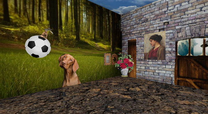 A collaged room featuring potted plants, a painting, and a dog looking at a soccer ball